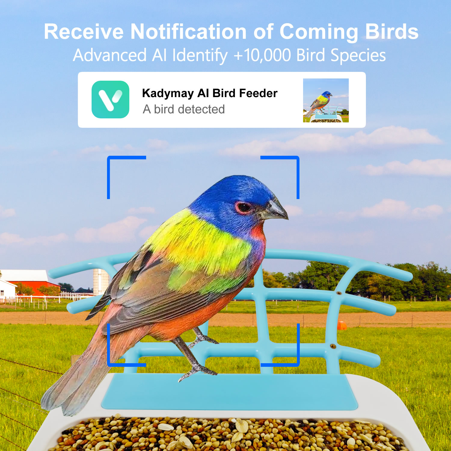 002 bird feeder camera.jpg