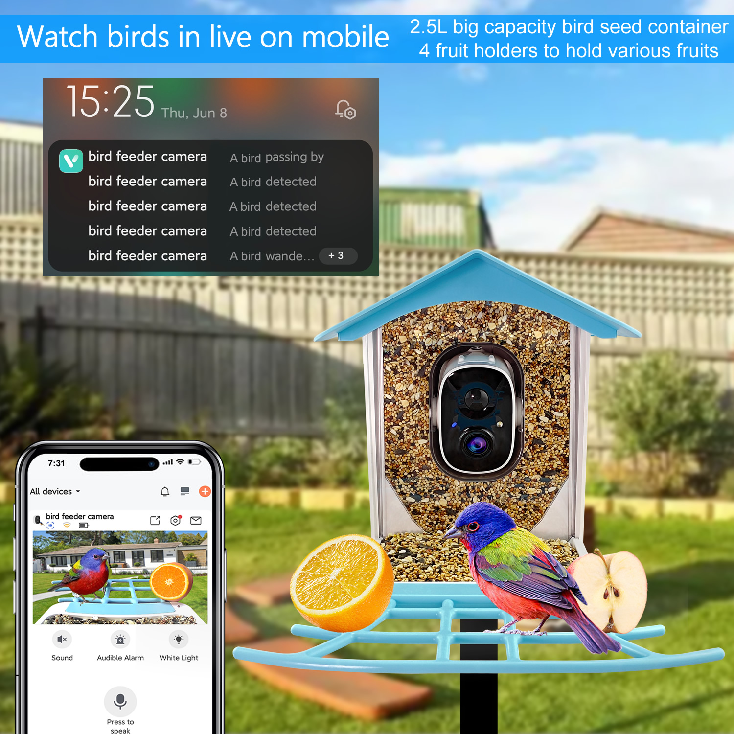 005+ bird feeders with camera.jpg