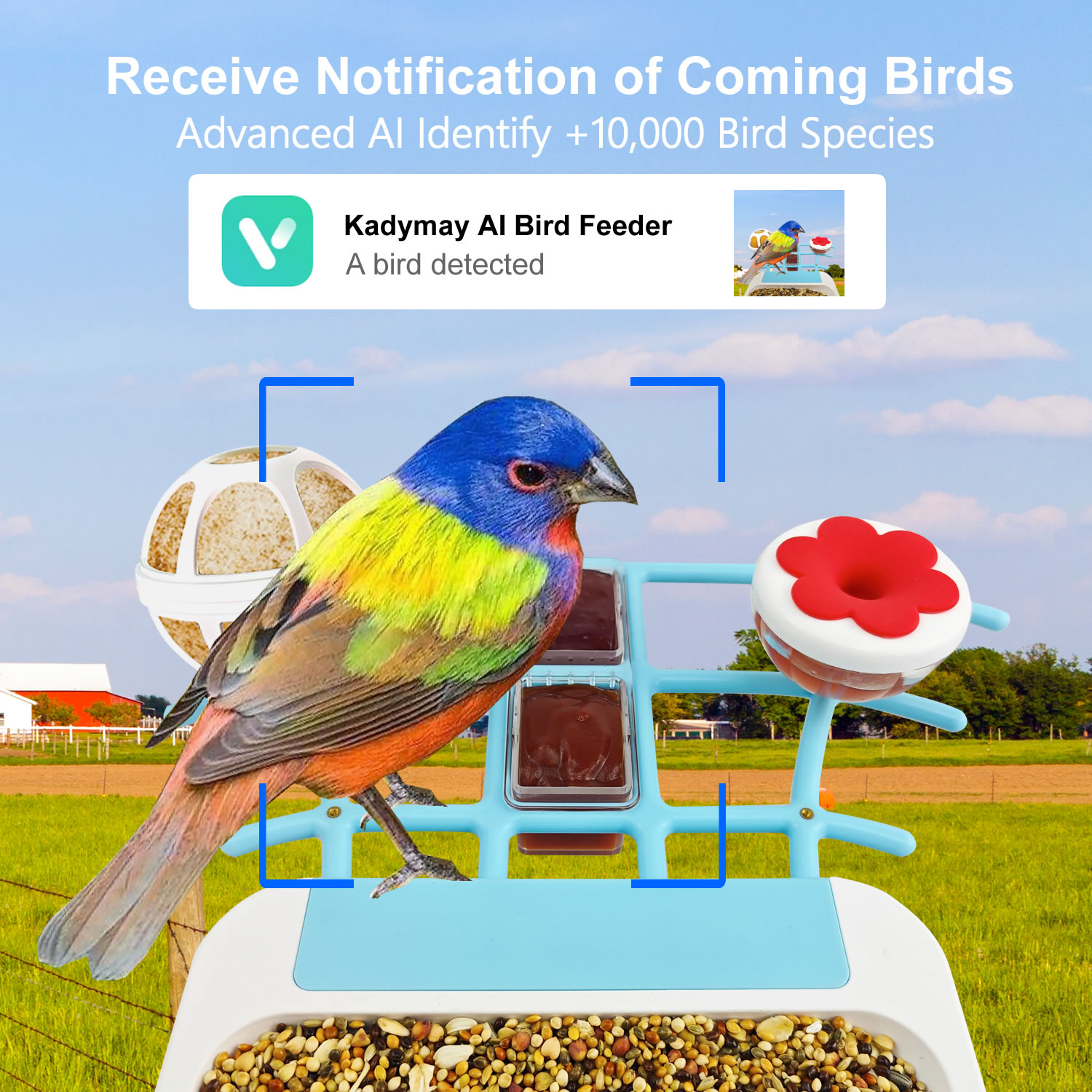 002 bird feeder with camera.jpg