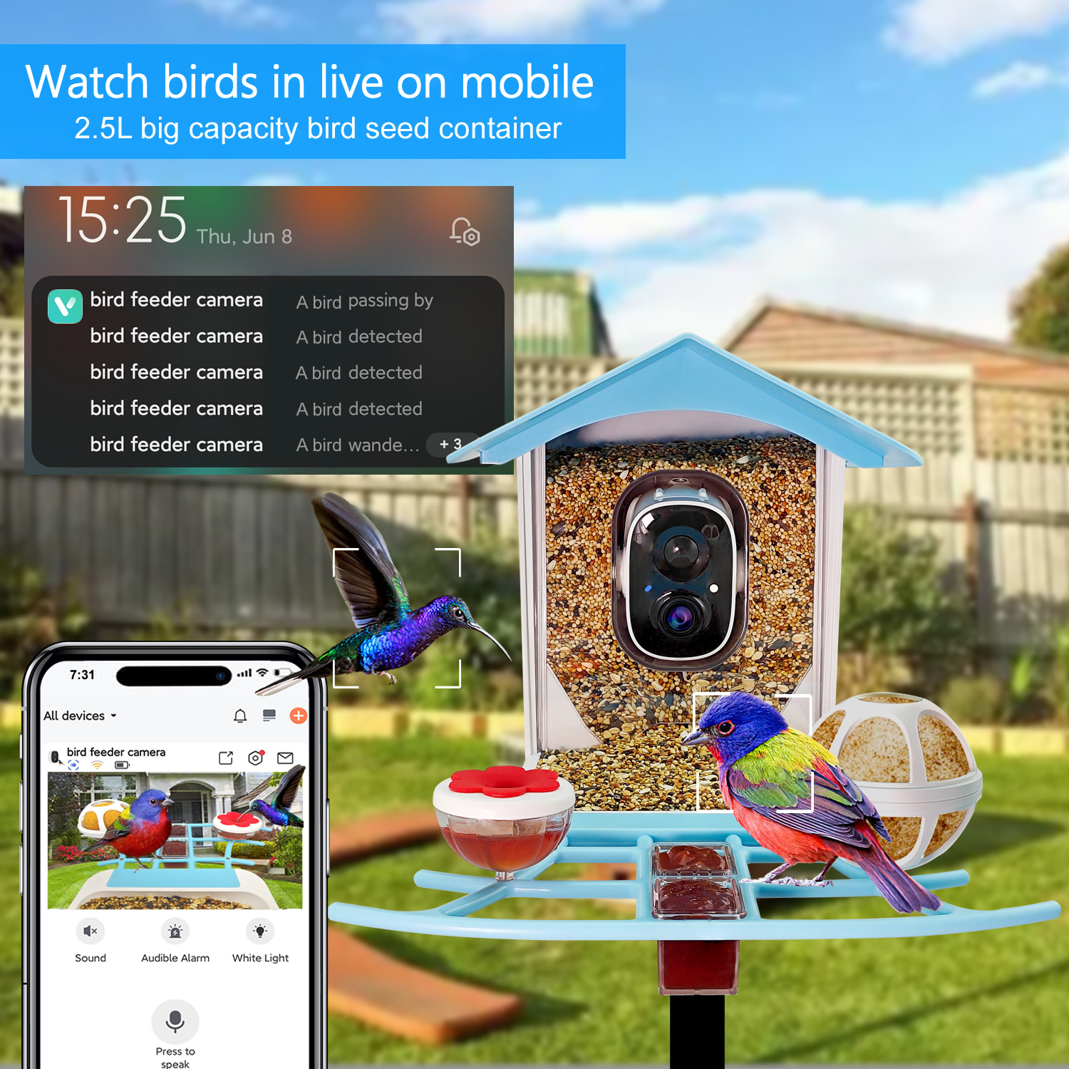 005 bird camera feeder.jpg